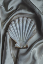 Load image into Gallery viewer, Silk Shell