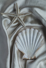 Load image into Gallery viewer, Silk Shell and Star