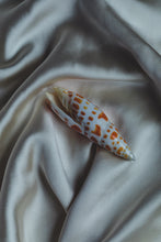 Load image into Gallery viewer, Coquillage orange