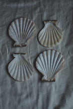 Load image into Gallery viewer, 4 shells