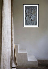 Load image into Gallery viewer, 4 shells