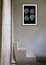 Load image into Gallery viewer, 4 shells on black