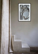 Load image into Gallery viewer, Silk Shell and Star