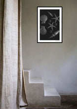 Load image into Gallery viewer, Mix of shells in b&w