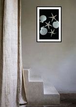 Load image into Gallery viewer, Coquillages et étoiles de mer