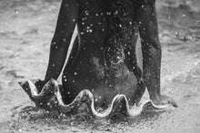 Load image into Gallery viewer, Venus Bora Bora