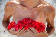 Load image into Gallery viewer, Red Hibiscus