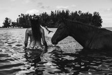 Load image into Gallery viewer, Kahaia in Tahitian dream