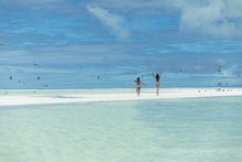 Load image into Gallery viewer, L'île aux oiseaux