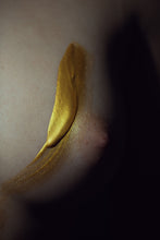 Load image into Gallery viewer, L'or II