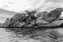 Load image into Gallery viewer, Libre