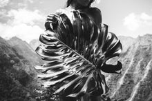 Load image into Gallery viewer, Philodendron