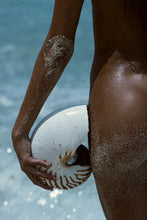 Load image into Gallery viewer, Nautilus sur la hanche