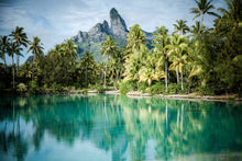 Load image into Gallery viewer, Neverland