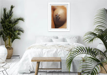 Load image into Gallery viewer, Sein Coquillage Étoile