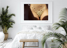 Load image into Gallery viewer, Daisies