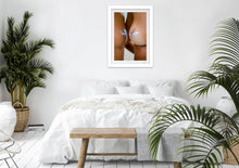 Load image into Gallery viewer, Étoiles