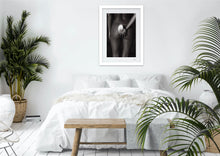 Load image into Gallery viewer, Nautilus