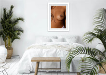 Load image into Gallery viewer, Papillon