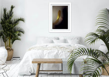 Load image into Gallery viewer, L'or II