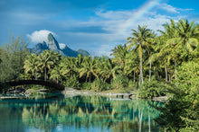 Load image into Gallery viewer, Otemanu rainbow