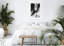 Load image into Gallery viewer, Coquillage Porcelaine