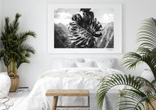 Load image into Gallery viewer, Philodendron