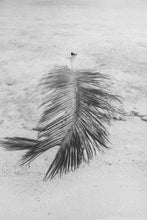 Load image into Gallery viewer, Palme