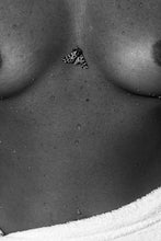 Load image into Gallery viewer, Papillon II