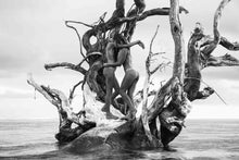 Load image into Gallery viewer, Tree of love