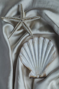 Silk Shell and Star