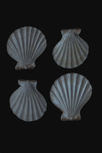 Load image into Gallery viewer, 4 shells on black

