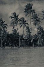 Load image into Gallery viewer, Cocotiers sur la plage

