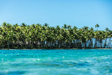 Load image into Gallery viewer, Cocoteraie sur un motu de Bora Bora
